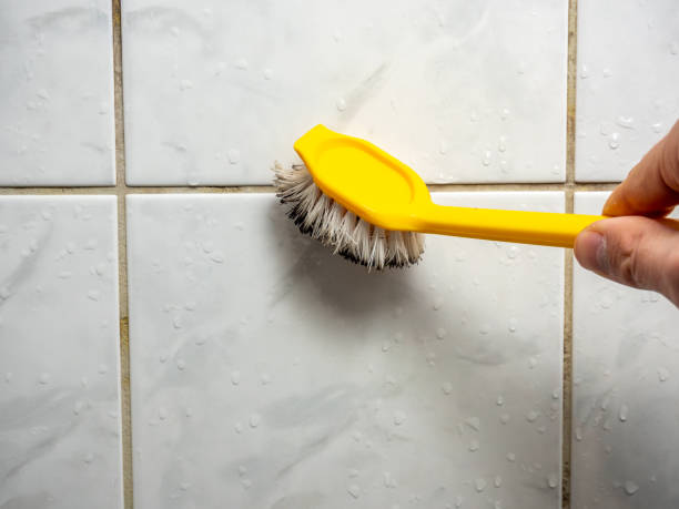 Home Mold Removal in Wartburg, TN